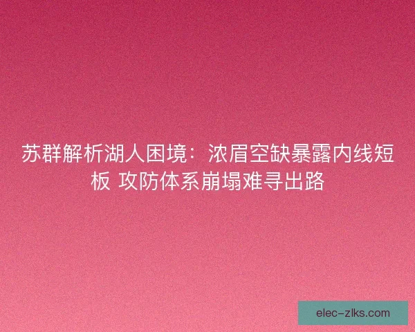 苏群解析湖人困境：浓眉空缺暴露内线短板 攻防体系崩塌难寻出路